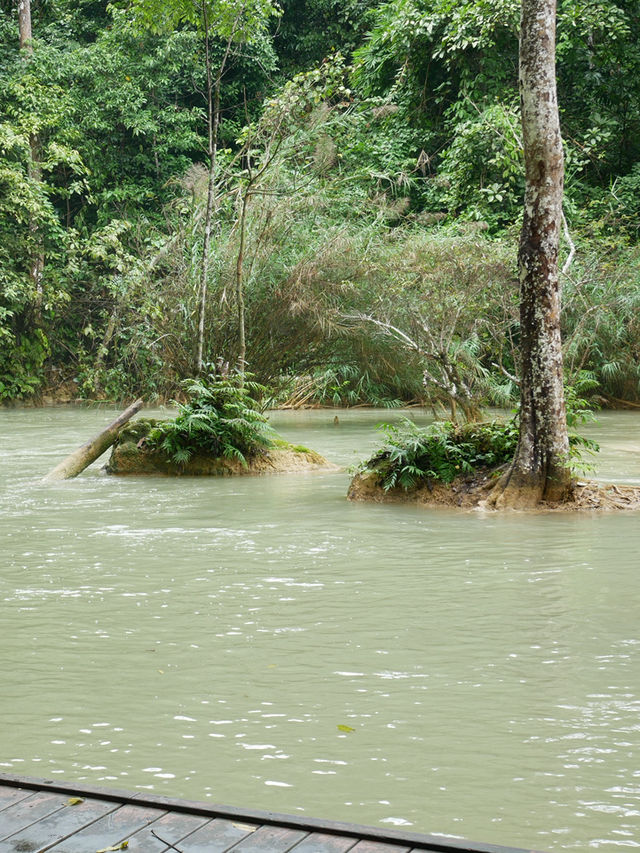 【ラオス🇱🇦】クアンシーの滝