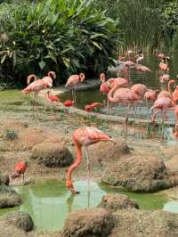 싱가포르 여행일정 공유 - DAY1 🇸🇬