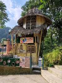 A Convergence of Asian Cultures at The Great Asia-Africa