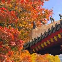 🏛️ Jongmyo Shrine – Seoul’s Timeless Confucian Heritage