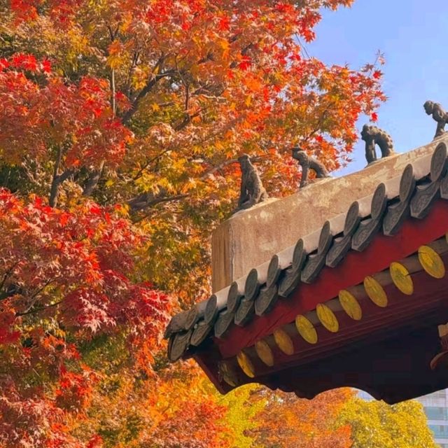 🏛️ Jongmyo Shrine – Seoul’s Timeless Confucian Heritage