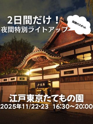 【에도 도쿄 타모토노엔】🍁 한정 라이트업💡