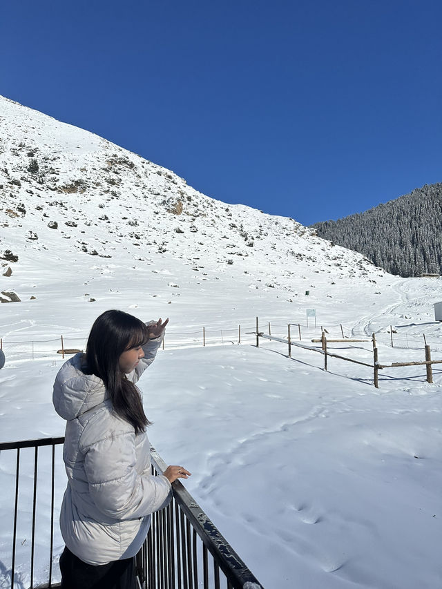 중앙아시아의 스위스, 키르기스스탄 알틴 아라샨! ❄️🏔️