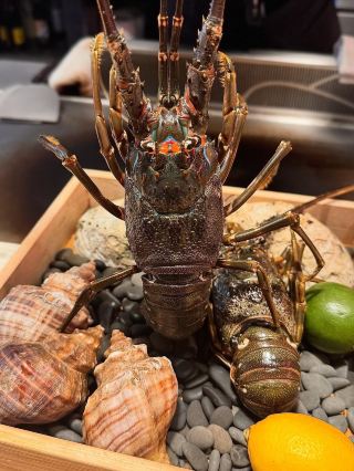 火焰翻飛席前鐵板秀