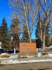 🌲 Fish Creek Provincial Park – Calgary’s Wild Urban Wilderness
