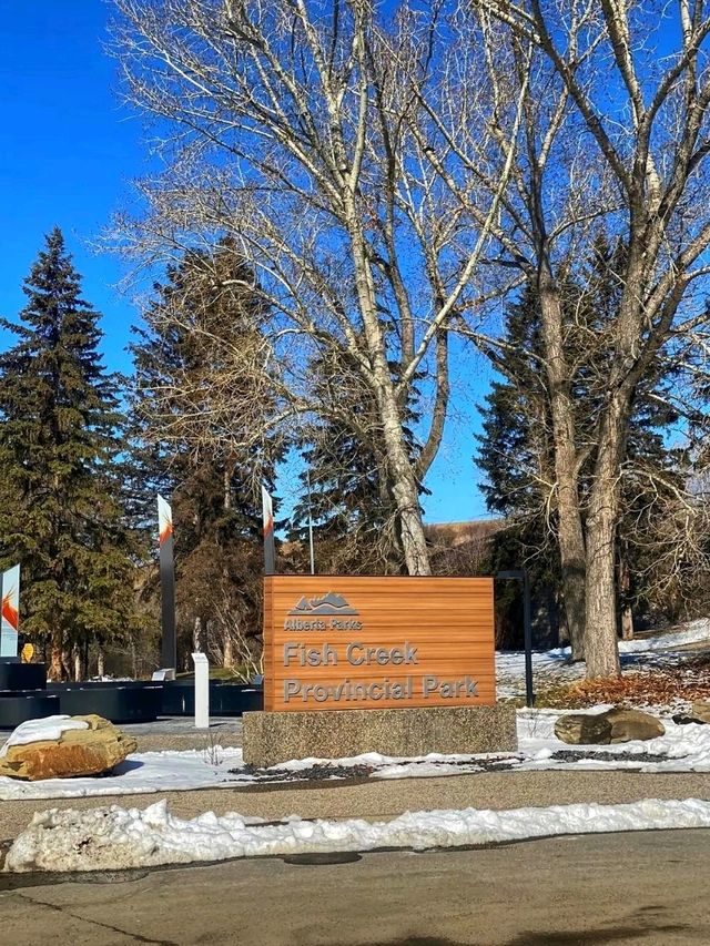 🌲 Fish Creek Provincial Park – Calgary’s Wild Urban Wilderness 🌲 Fish Creek Provincial Park – Calgary’s Wild Urban Wilderness