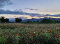 사계절 언제 가도 좋은 천년고도 경주