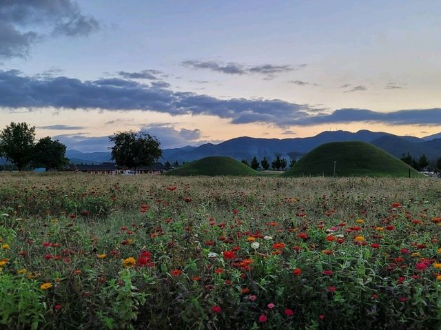 사계절 언제 가도 좋은 천년고도 경주 사계절 언제 가도 좋은 천년고도 경주