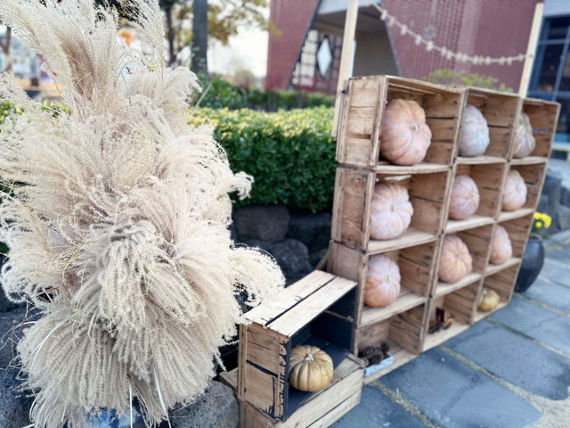 아직은 가을여행 중 😁🍁