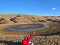 “ดวงตาเก๋อเนี่ย” (Eye of Genie)