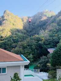 Mountain Market Vibes🌄