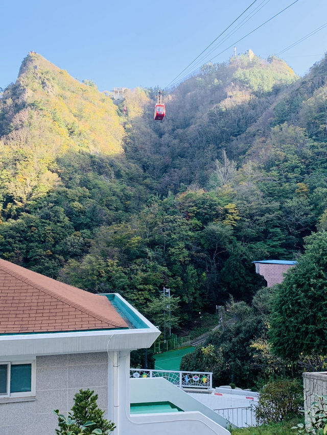 Mountain Market Vibes🌄 Mountain Market Vibes🌄