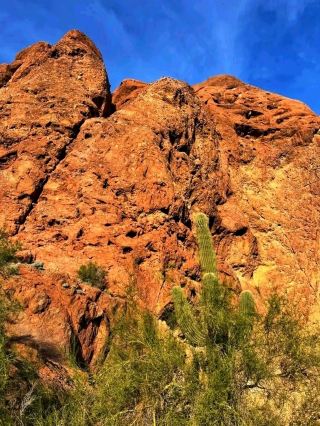 카멜백 마운틴 – 피닉스의 상징적인 봉우리, 오를 가치가 있는 전망