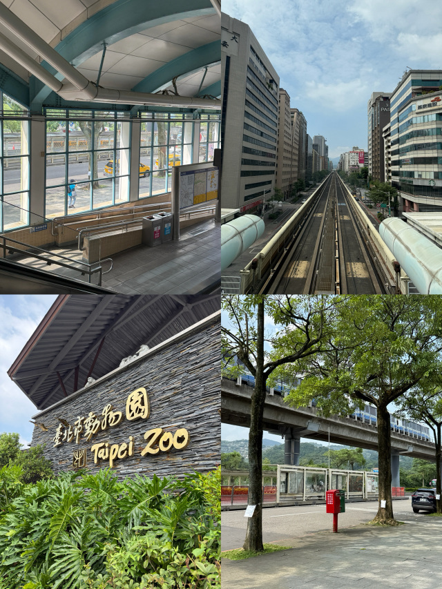 Asia's largest zoo is right here, the Taipei Zoo.
As the largest zoo in Asia, Taipei Zoo is incredibly spacious and filled with attractions.

1️⃣ Affordable admission fees
2️⃣ Events like feeding experiences
3️⃣ Convenient access to nearby tourist spots like Maokong Village

These three advantages make it a must-visit destination for travelers with longer itineraries or those visiting Taipei more than once, despite its distance from the city center.

You can get up close to the giant panda family, red pandas, African elephants, hippos, capybaras, and adorable penguins.

If you're traveling with kids, you can easily explore the zoo by taking the shuttle train!

------
【Taipei Zoo】
📍 Location: No. 30, Section 2, Xinguang Rd, Wenshan District, Taipei City
🗓️ Hours: Daily 09:00 ~ 17:00 (Last admission at 16:00)
💰 Admission: Adults 100 TWD (EasyCard payment available)

-----

For exploring the zoo:
Since it's so vast, it's recommended to take the shuttle train from the entrance to the top 'Bird Zone' and then make your way down while sightseeing.

The indoor panda house is well-maintained, while most other areas are outdoors. However, there are benches, vending machines, and snack shops scattered throughout the zoo.

The most famous photo spot is near the entrance, where you can take pictures with a flock of flamingos!

✅ Key Highlights

The shuttle train connecting different zones operates frequently from 9 AM to 4 PM daily.

Additionally, there are various events scheduled throughout the day, such as animal feeding experiences!

=========
🍯 Travel Tips!

- Take the Maokong Cable Car to reach Maokong Village at the mountain top. This area is famous for Taiwanese tea culture, offering stunning views of Taipei City. You can enjoy a relaxing cup of tea at a teahouse or try tea-based desserts—highly recommended!

- If visiting the zoo during summer, it can be quite exhausting. Be sure to bring mosquito repellent spray and a portable fan, and take plenty of breaks in shaded areas.

- Since the zoo is so large, it can be time-consuming to navigate without a plan. Prepare your route in advance and choose between the cable car or train for transportation.