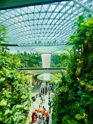 SINGAPORE 🏞️🌃 Where Nature Meets Technology