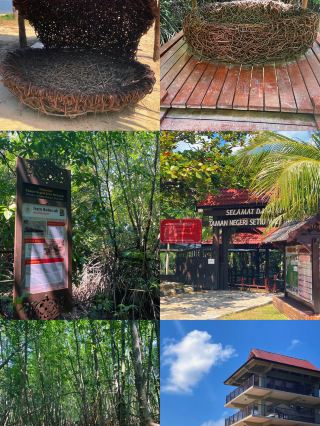 為什麼Setiu濕地是馬來西亞慢旅行的理想之選