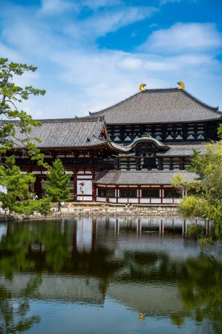 นารา: กวาง วัด และสวนสาธารณะโล่งกว้าง