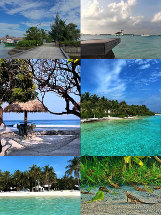 TROPICAL DAYDREAMS: GET LOST IN ISLAND BEAUTY