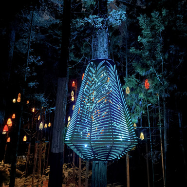 NZ Rotorua】 夜のRed Tree walk | Trip.com ロトルア