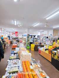 Day 3 ย้ายเมืองไปที่ Kumamoto กับ Rpadtrip ยาวๆจาก Yufuin ตามไปเที่ยวกัน 🚗 (Apr 26)