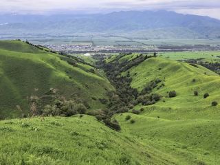The Biggest Mistake I Made on My First Trip to Zhaosu Grassland
