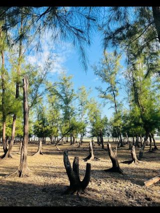 Sonadia Island