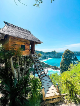 Rumah pohon terbaik di dunia 🏠