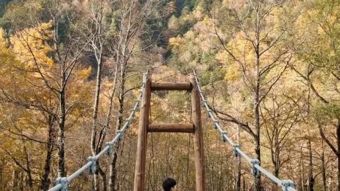 카미코치 단풍 시즌, 정말 역대급으로 예뻐요 여러분! 🍂 — traveler post in 도쿄