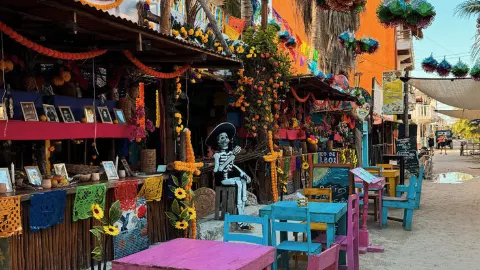 Why I Irresistibly Return to Isla Holbox, My Repeat Destination Paradise — traveler post in Tulum
