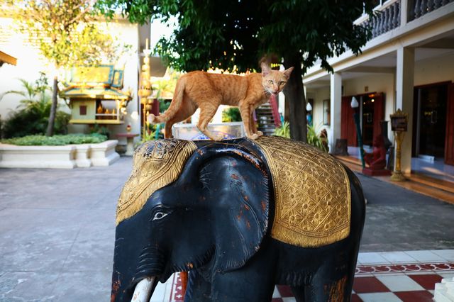 Discovering the Soul of Phnom Penh 🙏🌇