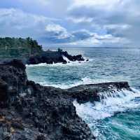 Nature's Symphony at Jusangjeolli Cliff