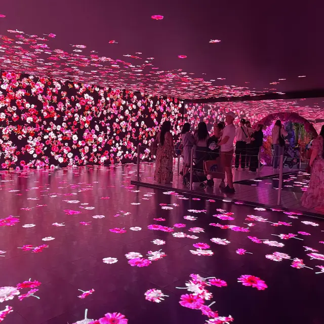 This is one of the Prettiest Immersive Art Show