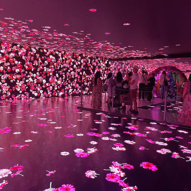 This is one of the Prettiest Immersive Art Show