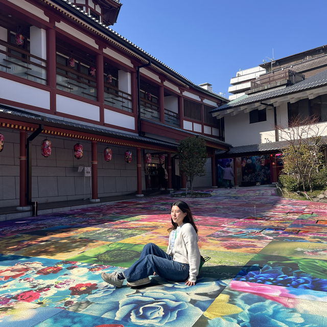 愛媛県 [道後]
