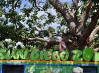 A Day of Fun at San Diego Zoo