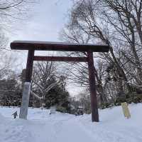 北海道神宮的美麗雪景