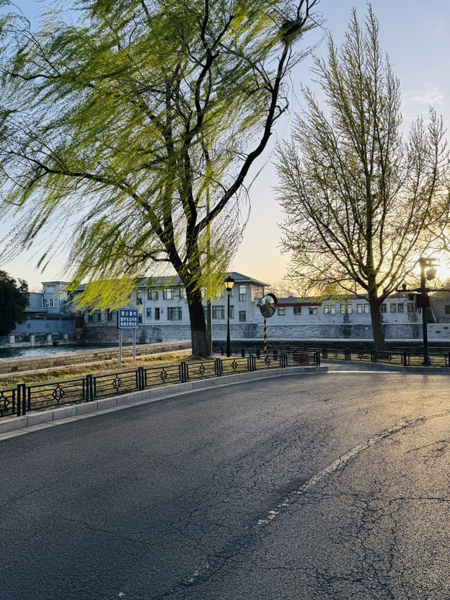 Evening Stroll Around the Palace Museum