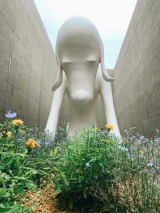 静かな時間とアートに癒されて — 青森県立美術館🎨　完全攻略➕反省点