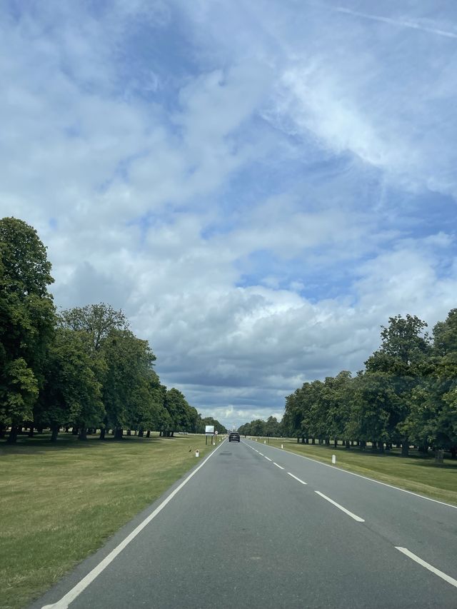 睇鹿聖地 | 英國近郊大公園