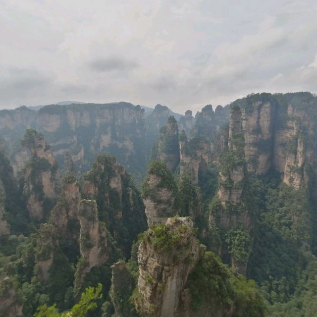 Breathtaking Zhangjiajie 🐒🌿