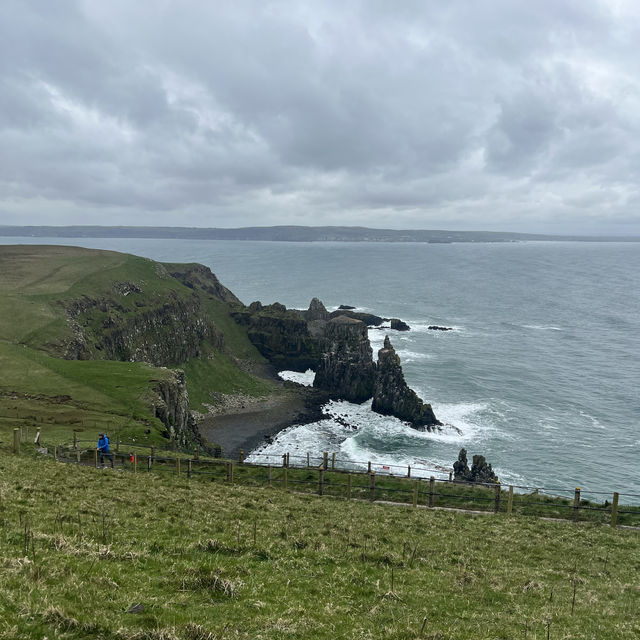 Rathlin Island Bird Sanctuary 