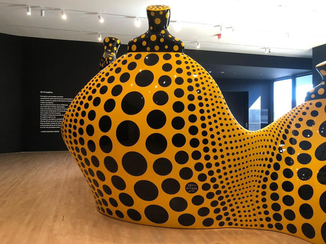 It was a great trip at San Francisco Museum of Modern Art 🇺🇸
