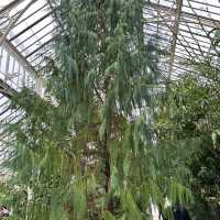 The garden of England 