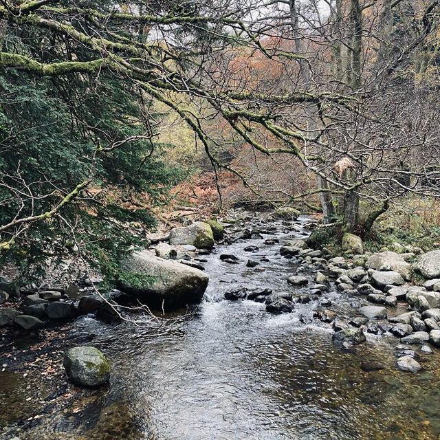 Chasing Waterfalls: A Scenic Drive to Aira Force