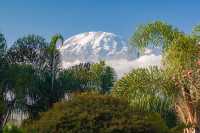 Lemosho Route in 7 Days Trekking to Mount Kilimanjaro 2024-2026 