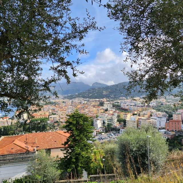 Sorrento's View