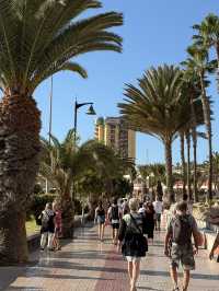Tenerife: MY 5-WEEKS MAGIC WINTER ESCAPE TO PARADISE 