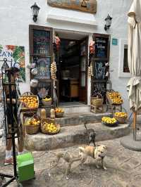 Perfect Ibiza Itinerary 