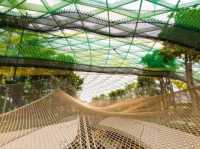 Changi Airport: Where your adventure in Singapore begins!!