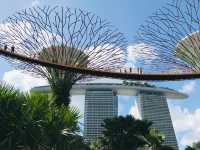 Singapore is truly another world! 